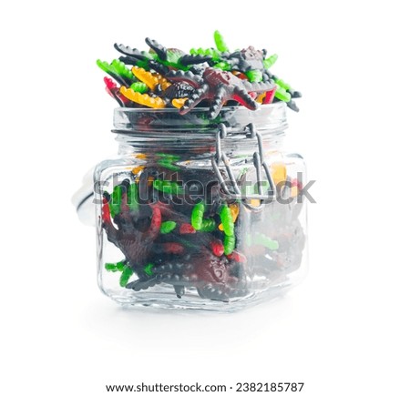 Scary sweet jelly spiders. Halloween candies in jar isolated on the white background.