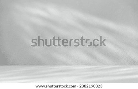 Empty shadow light overlay wall room Studio background and Floor shelf well display product and text presentation on free space backdrop  
