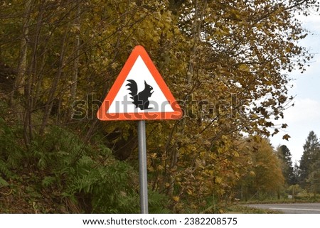 A road sign warning of red squirrels in Angus, Scotland.