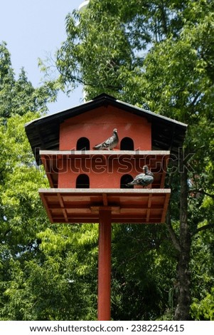 a bird house at the park