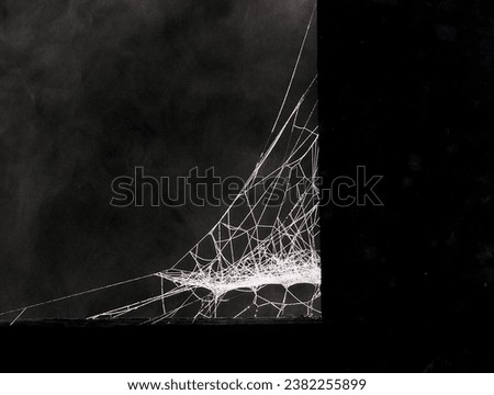 Black-and-white artistic picture of spiders web on a concrete fence post dramatically backlit