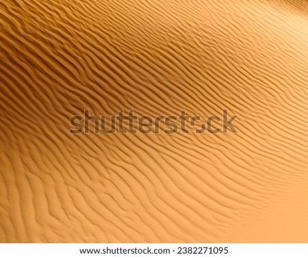 Textured background of sandy terrain in desert