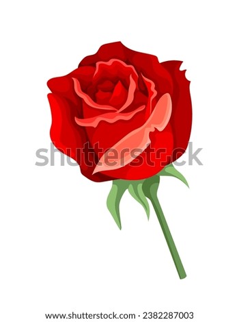 Watercolor cute rose. Red flower with leaves. Beauty, elegance and aesthetics. Flora and nature. Poster or banner. Cartoon flat vector illustration isolated on white background