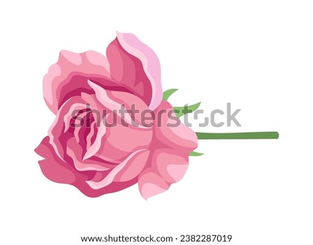 Watercolor cute rose. Pink flower with leaves. Beauty, elegance and aesthetics. Romance and love. Sticker for social networks. Cartoon flat vector illustration isolated on white background