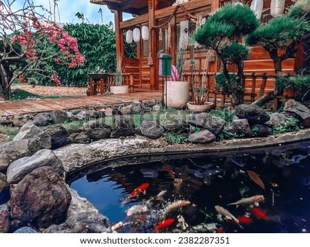 Koi pond in front of japanese style house