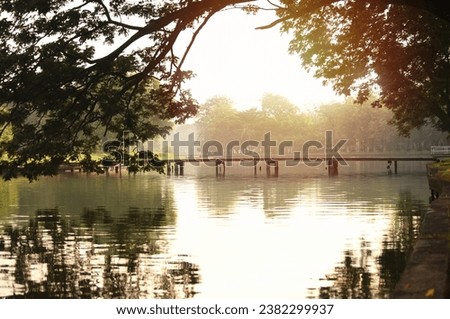 A wooden bridge across a pond in the park on a misty morning. A quiet place to relax. Still warm orange from the sun, there are large branches in the foreground.