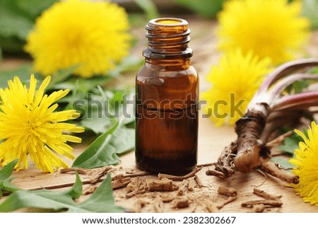 Dandelion root oil, tincture, wine or honey with fresh flowers and leaves on wooden table, closeup, copy space, green medicine, homeoparhy, hair and skin healthy care, detox therapy concept Royalty-Free Stock Photo #2382302667