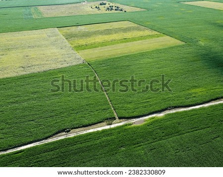 Farmfields from a bird's eye view. Crops of corn, landscape.