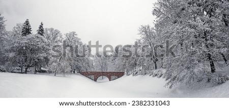 A small brick bridge over a snow-covered moat in the Zamosc city park. Snow-covered trees, snowfall. Winter landscape.