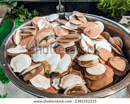 simping clams or kerang simping, Fresh scallop in stainless steel bowl on a market fish shelf. Close up. grocery shop Royalty-Free Stock Photo #2382352225