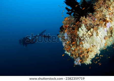 Scuba Diver Swimming nex to Coral Wall Overhang. North Male Atoll, Maldives