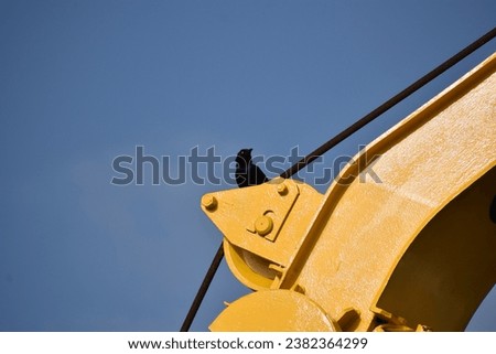A bird perching on a construction crane.