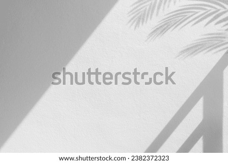 Empty white Cement wall texture Background with shadow leaves overlay Sunlight well free space for text presentation on Concrete Wall, Backdrop Background 