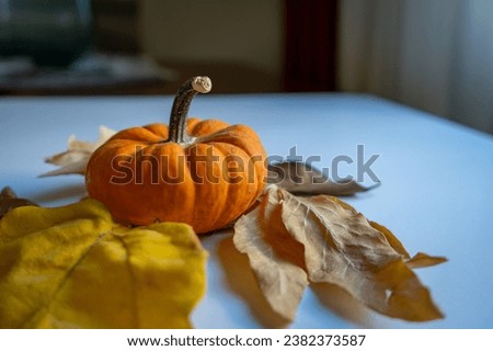 orange pumpkin and autumn colored leaves on white table indoor close-up view concept photo