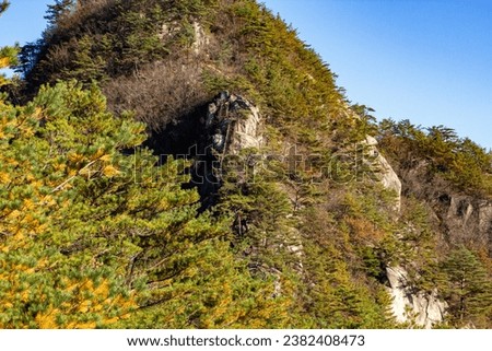 Autumn foliage Travel to Doraksan Mountain in Danyang, Chungcheongbuk-do, Korea
