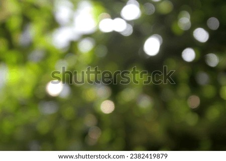 Green bokeh background from nature forest out of focus,the nature background abstract, blur nature background, green leaf