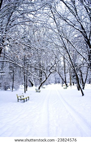 Winter scene - Park after snowfall