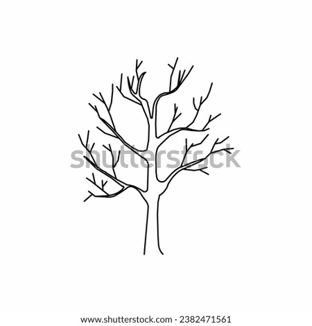 tree vector, tree nature, tree outline, tree icon, plant, plant icon