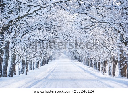 Alley in snowy morning Royalty-Free Stock Photo #238248124