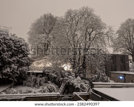 A beautiful picture of a city clicked after snow fall from balcony of trees and building covered in snow