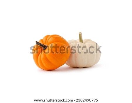 Two fresh orange and white colored Autumn pumpkins isolated on white background.