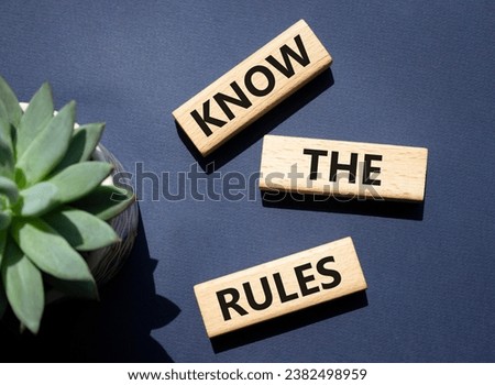 Know the rules symbol. Wooden blocks with words Know the rules. Beautiful deep blue background with succulent plant. Business and Know the rules concept. Copy space.