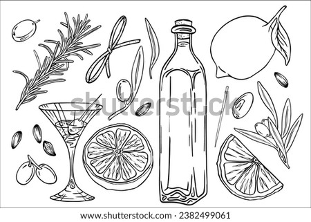 Olive oil set, graphic, vector, hand drawn doodle. Elements for food, sunflower, olives, branch, bag, lemon, kitchen board, extra virgin bottle. Martinki, glass of cocktail.