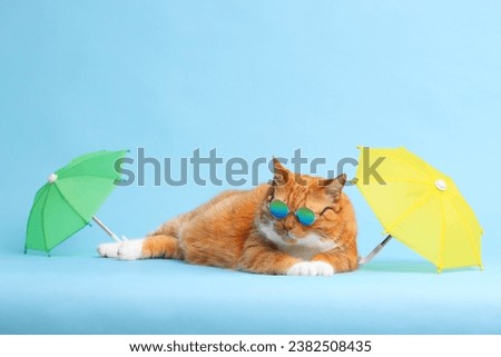Cute ginger cat in stylish sunglasses resting between beach umbrellas on light blue background