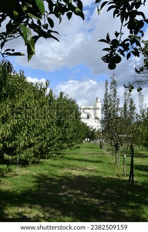 Plants of an orchard in the park of a royal palace of Capodimonte in Naples, Italy. Royalty-Free Stock Photo #2382509159