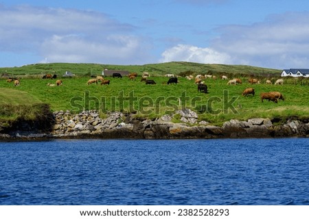 coast of valentia island, Portmagee, Ring of Kerry, County Kerry, Ireland, United Kingdom