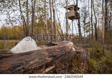 A piece of salt for wild animals lies in a trough made from a tree trunk. There is a hunting tower in the background.