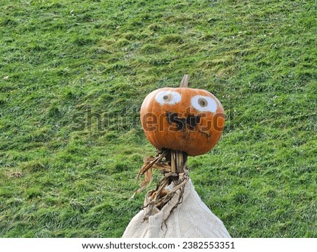 A closeup of pumpkin head with a face on it atop a scarecrow standing on the grass.