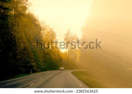 
Empty road amidst trees against sky during sunset