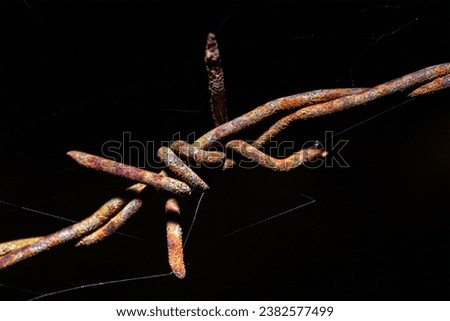 Old barbed wire fence, rusty barbed wire, macro photography
