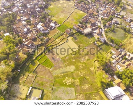 Drone Photography. Aerial Landscape of Spacious Rice Fields in the countryside of Bandung City - Indonesia. Aerial Photography. Top view. The beauty of rice fields on the edge of town