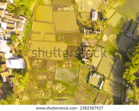 Drone Photography. Aerial Landscape of Spacious Rice Fields in the countryside of Bandung City - Indonesia. Aerial Photography. Top view. The beauty of rice fields on the edge of town