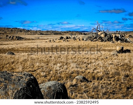 Arid landscape at Snowy Mountains, New South Wales.