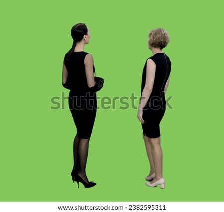 Rear view two women in black dresses standing and looking at something on green background, Chroma key