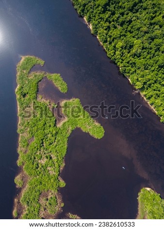 Beautiful aerial view to green amazon rainforest Anavilhanas island archipelago in Negro River, Amazonas, Brazil