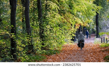 cycling and walking the dog in autumn forest near utrecht in the netherlands