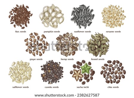 edible seeds hand drawn collection Royalty-Free Stock Photo #2382627587