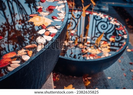 Close up view of a garden pond with autumn leaves concept photo. Beautiful nature scenery photography. Fall season, red leaf in a pots. Idyllic scene. High quality picture for wallpaper, travel blog.