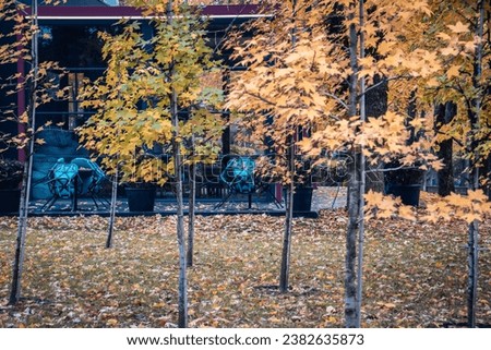 Park view with cafe terrace in the autumn concept photo. One of the streets of Europe, Ukraine. District scene. High quality picture for magazine, article