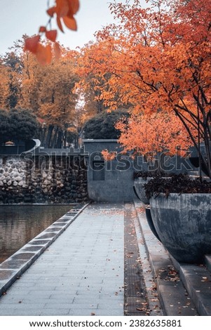 Autumnal morning near water concept photo. Autumn in the public park. Idyllic scene, fall season, red trees in a pots. High quality picture for wallpaper, travel blog.