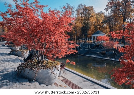 Autumn sunny morning near water concept photo. Public park. Idyllic scene, fall season, red trees in a pots. High quality picture for wallpaper, travel blog.