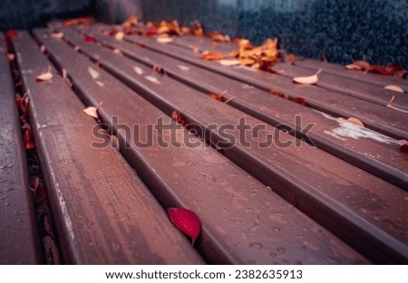 Park bench with bright leaves in autumn concept photo. Autumnal leaves, bright foliage on ground. Fallen foliage. High quality picture for wallpaper, travel blog.