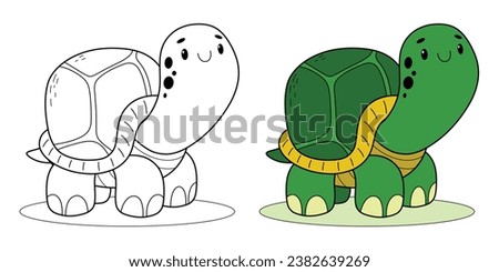 Unpainted and painted hand drawn Turtle outline illustration