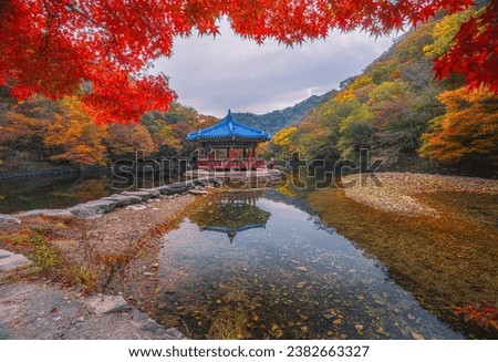 Autumn Attractions in Naejangsan National Park South Korea