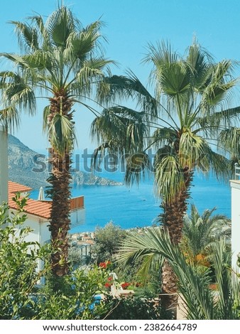 vertical photo with a beautiful view of green palm trees, mountains and blue sea. beach holiday concept, summer vacation by the sea. soft focus. copy space
