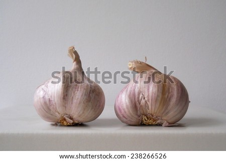 Czech purple garlic from organic farming on a gray background. Kitchen decoration.